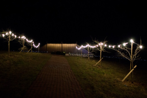 Exterior festoon lighting leading to a traditional marquee at night.